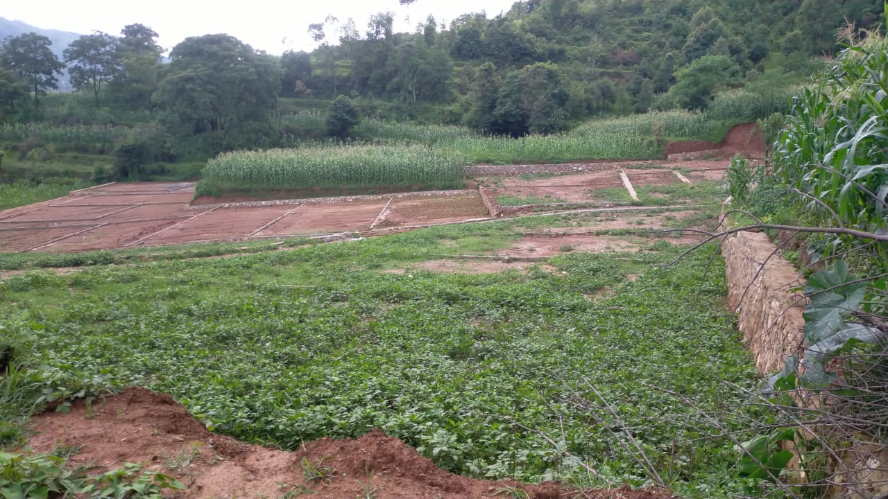land