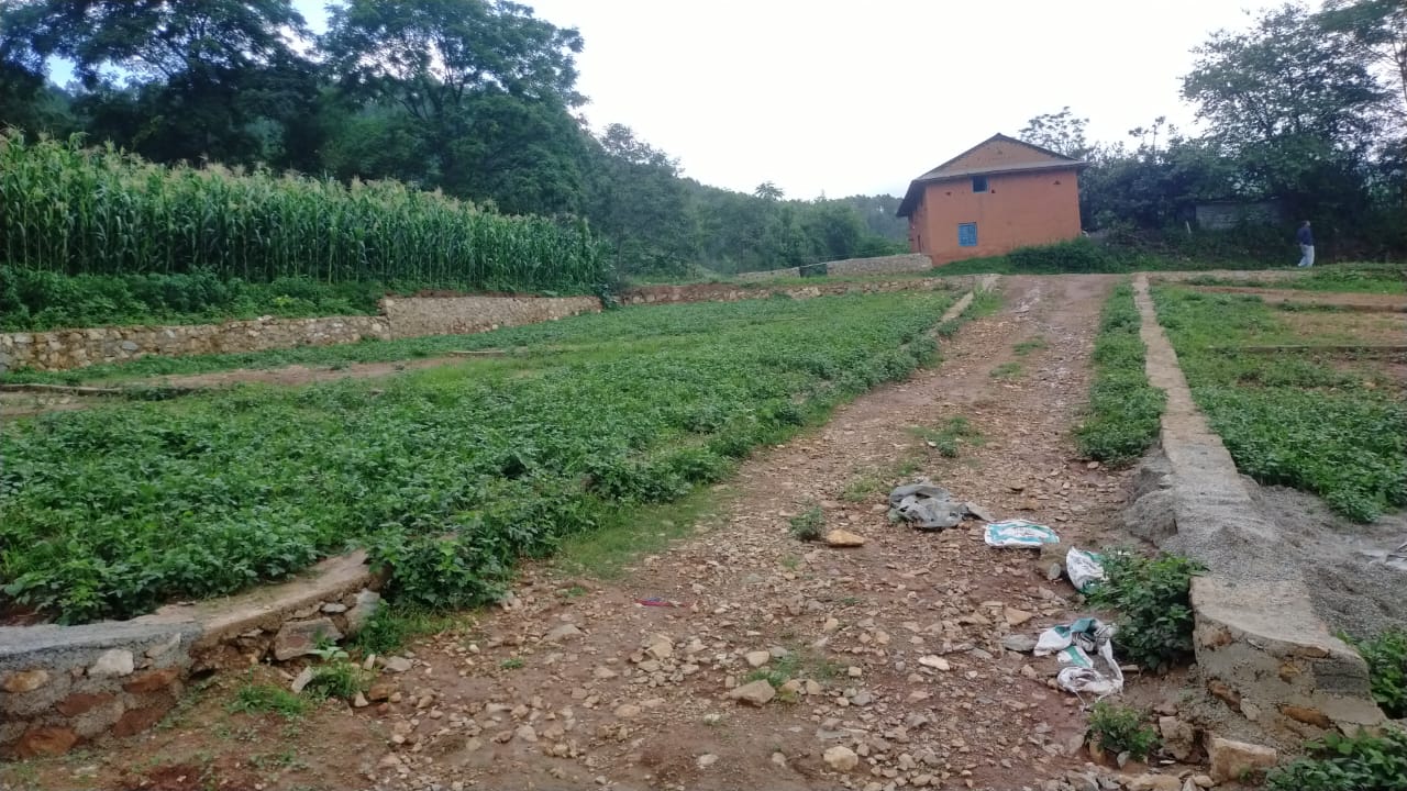 land